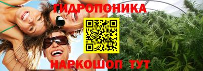 спиды Малгобек